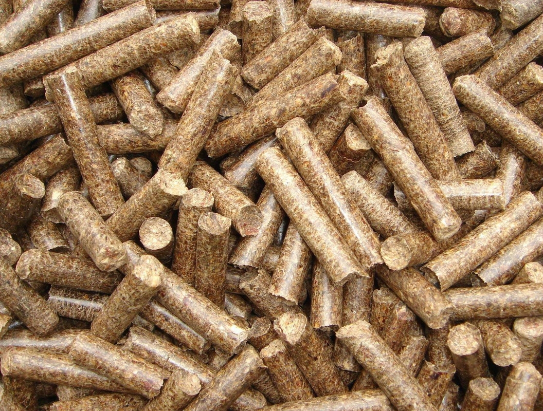 Son Granüller Büyüklüğü 3-10 mm Organik Gübre Granulatörü 4-6 ton/saat üretim kapasitesi ile Ziyaret Hoşgeldiniz