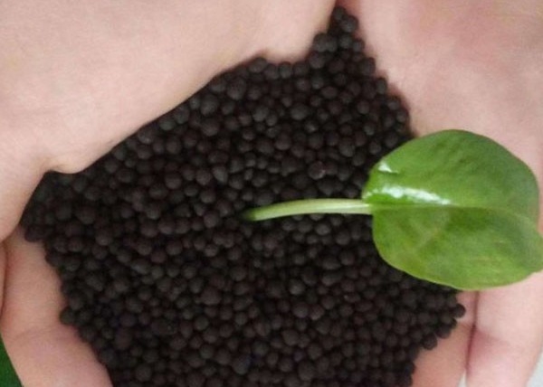 Organik gübre pellet üretim hattı Güvercin gübre organik gübre üretim hattı gübre üretimi